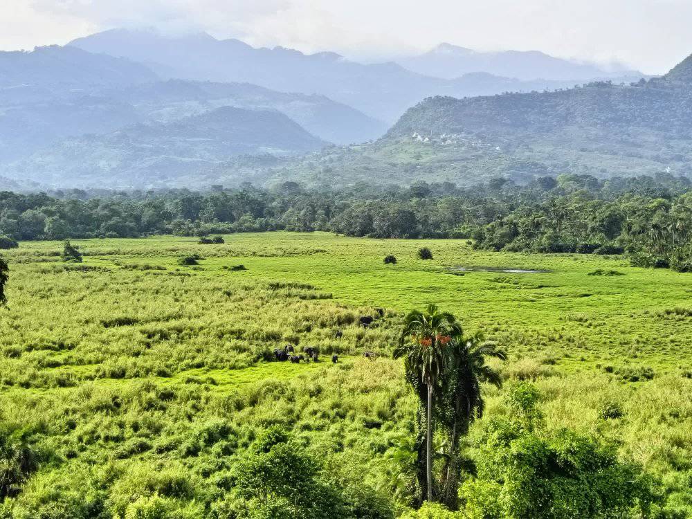 Chebera Churchura National Park