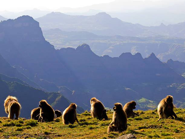 Simien Mountains Family Adventure tour in Ethiopia